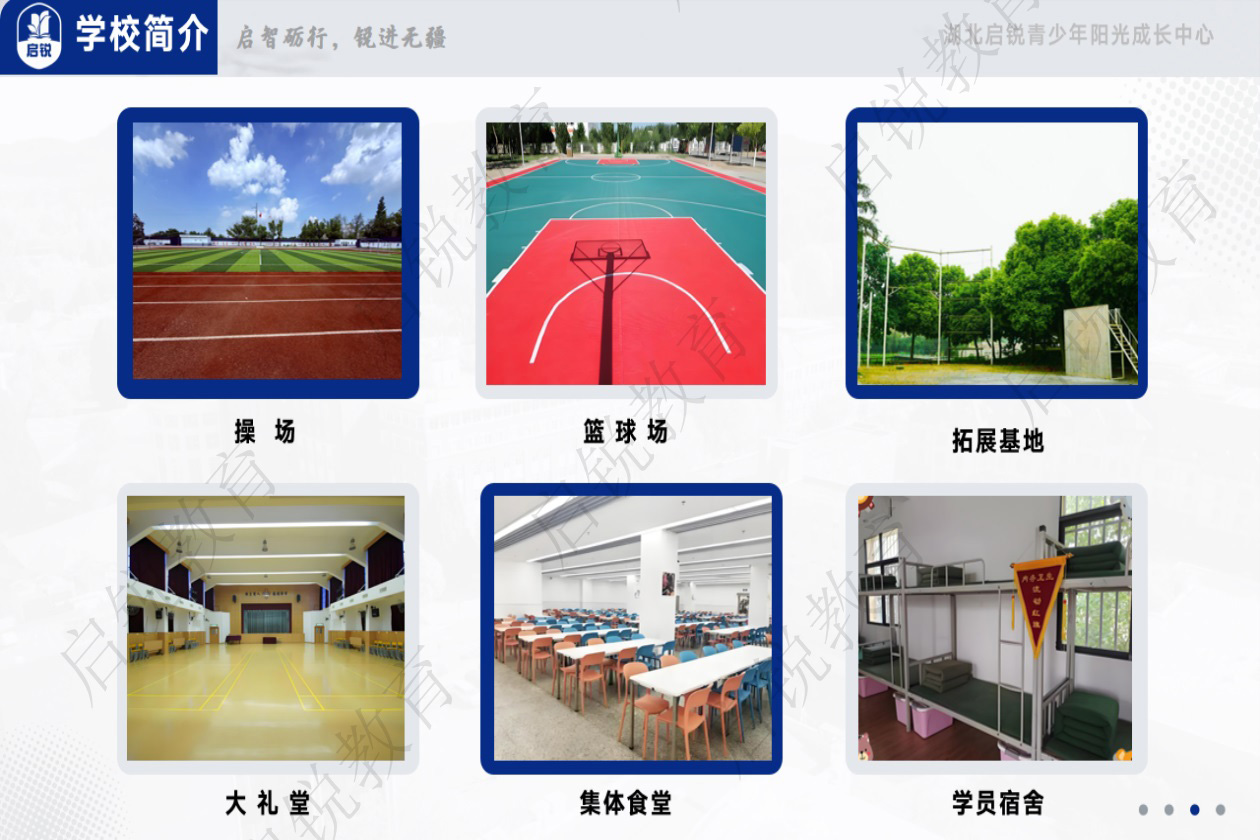 启锐教育