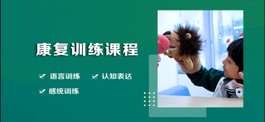 十大排名儿童康复训练机构