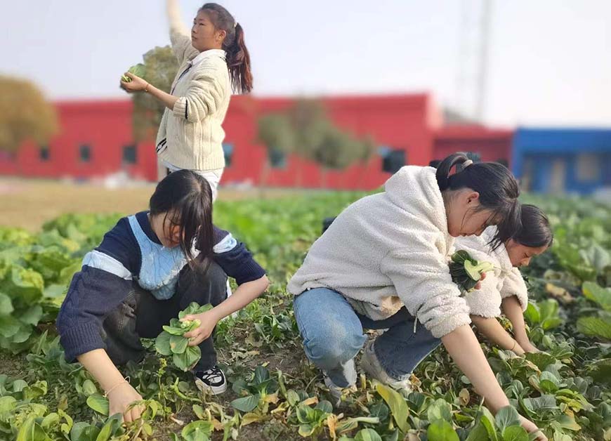 十大排名青少年叛逆戒網(wǎng)癮學(xué)校