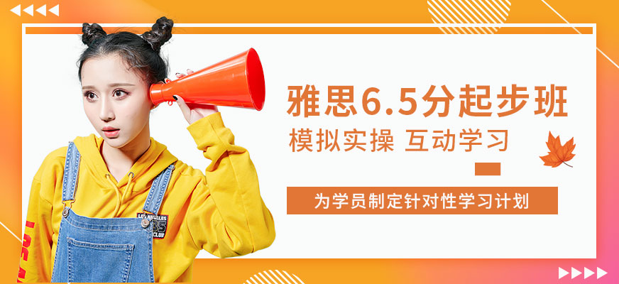 專業(yè)雅思培訓(xùn)