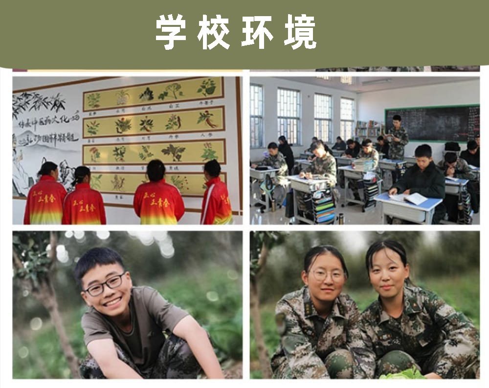 青少年叛逆教育