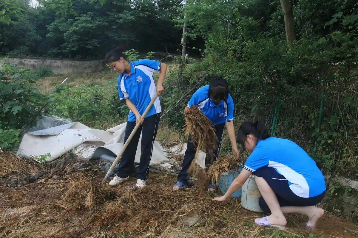 青少年叛逆教育