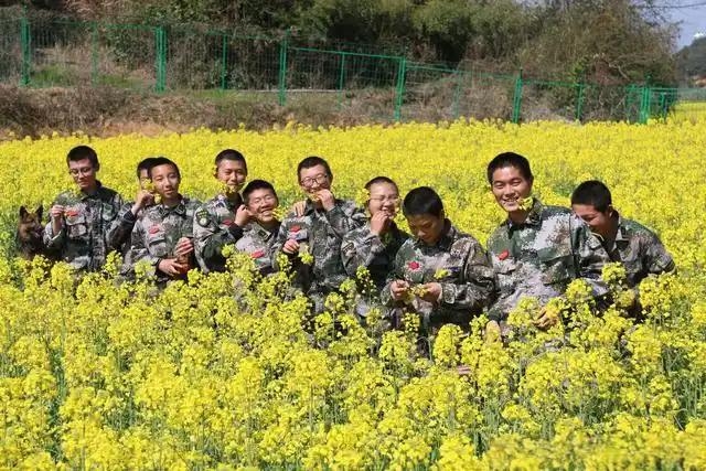 青少年叛逆教育