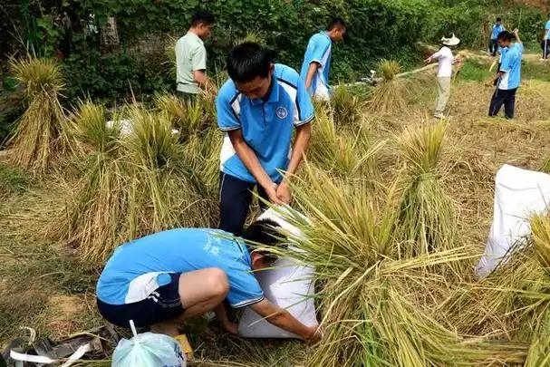 青少年叛逆教育