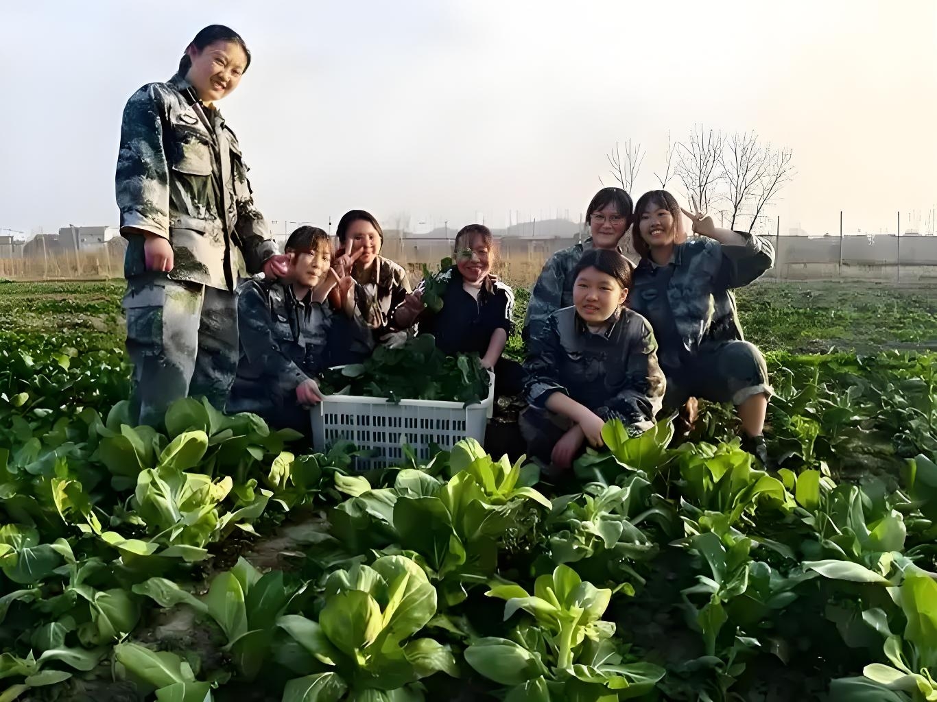 青少年叛逆教育