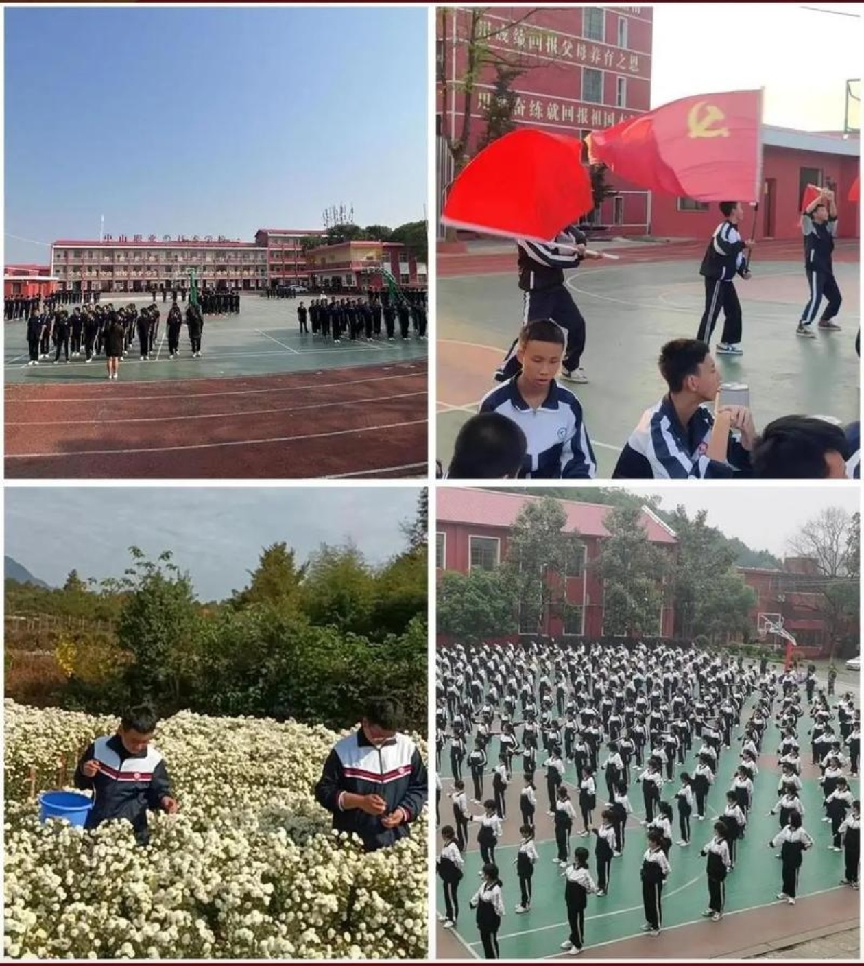 青少年叛逆教育