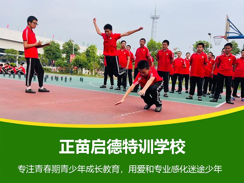 正苗启德教育