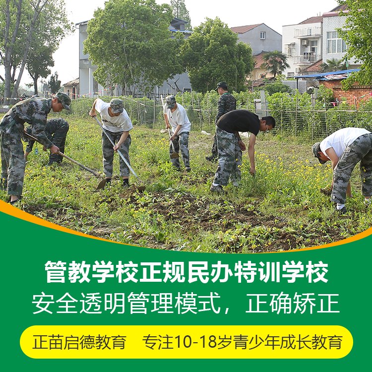 正苗启德教育