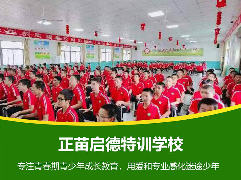 正苗啟德教育