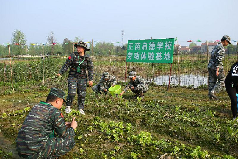 正苗啟德教育