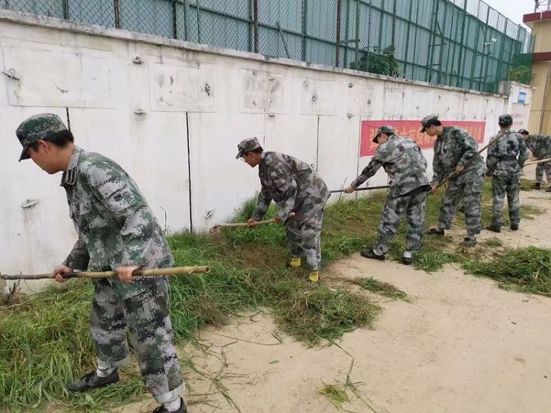 正苗启德教育