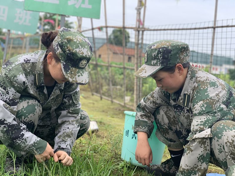 正苗啟德教育
