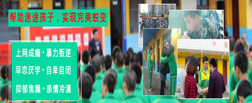 叛逆训练营