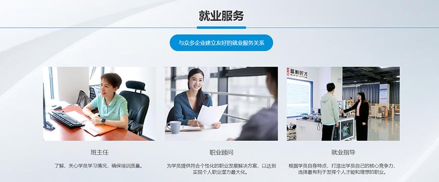 藍(lán)柏匠才編程