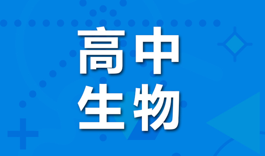 中小學教育