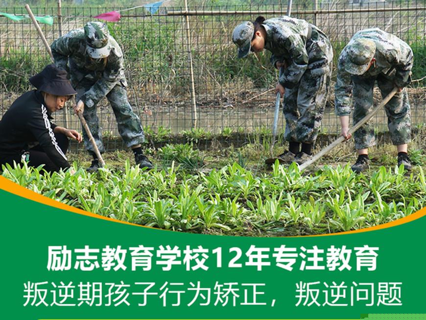 叛逆