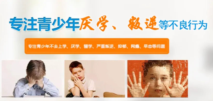 青少年素質(zhì)教育學校