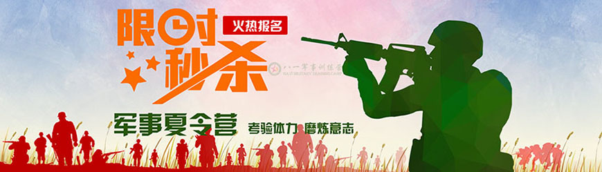 八一夏令营、军事训练营