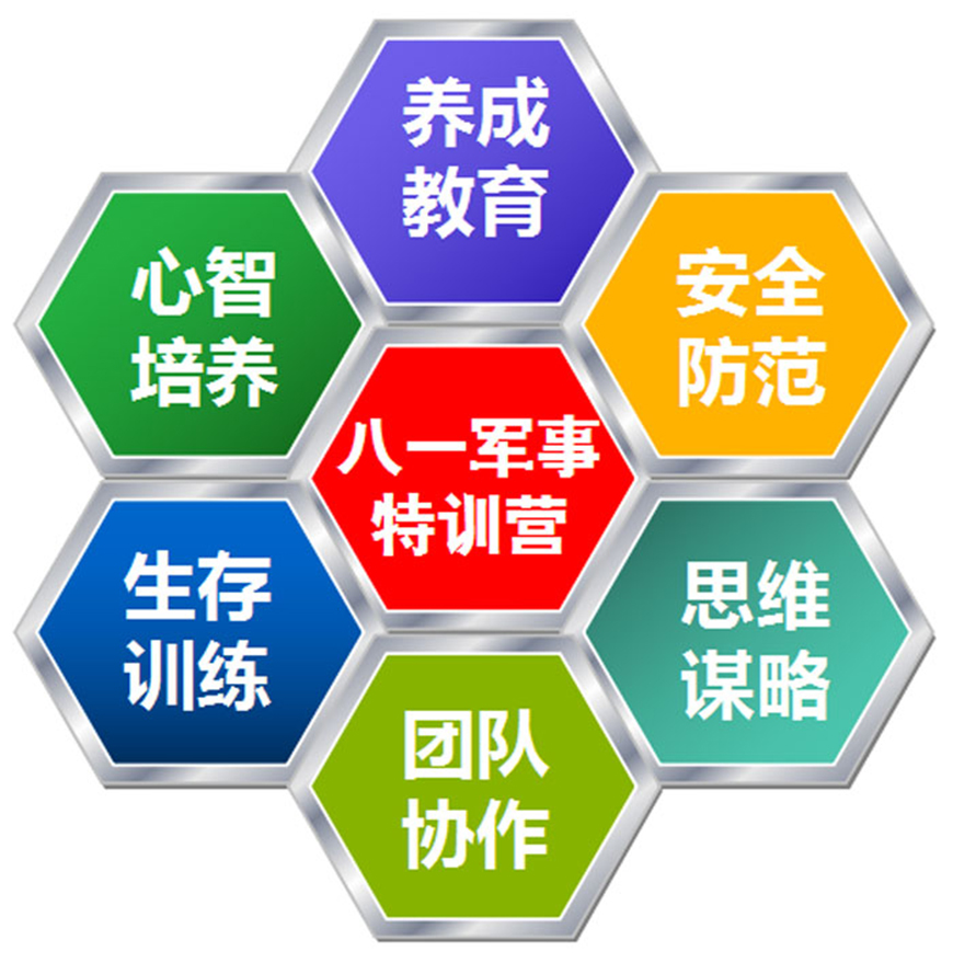 八一夏令营、军事训练营