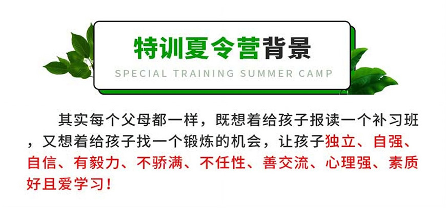 七彩童军夏令营、军事训练营