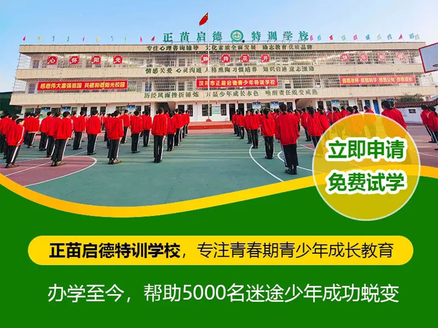 正苗启德叛逆