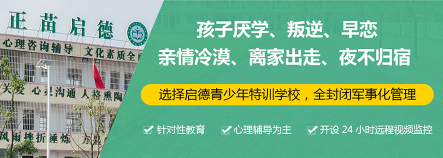 正苗启德叛逆