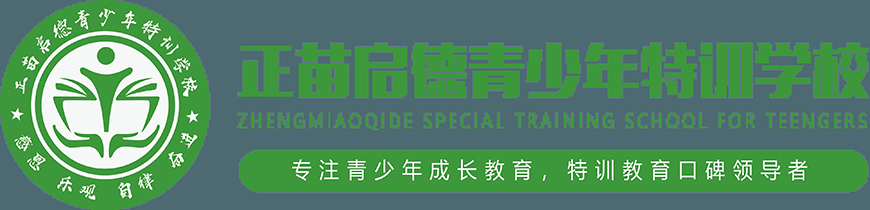 正苗启德叛逆
