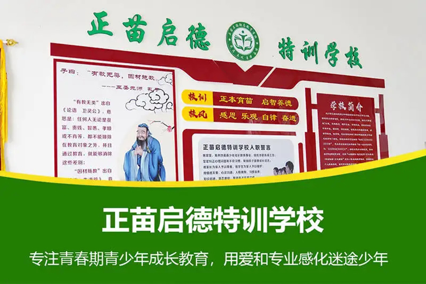 正苗启德叛逆