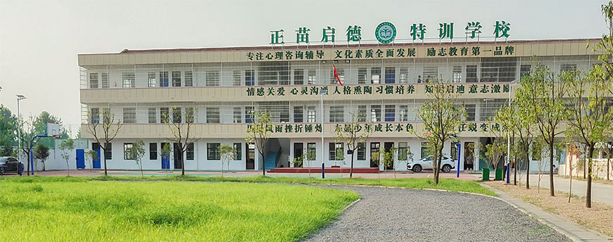 正苗启德叛逆