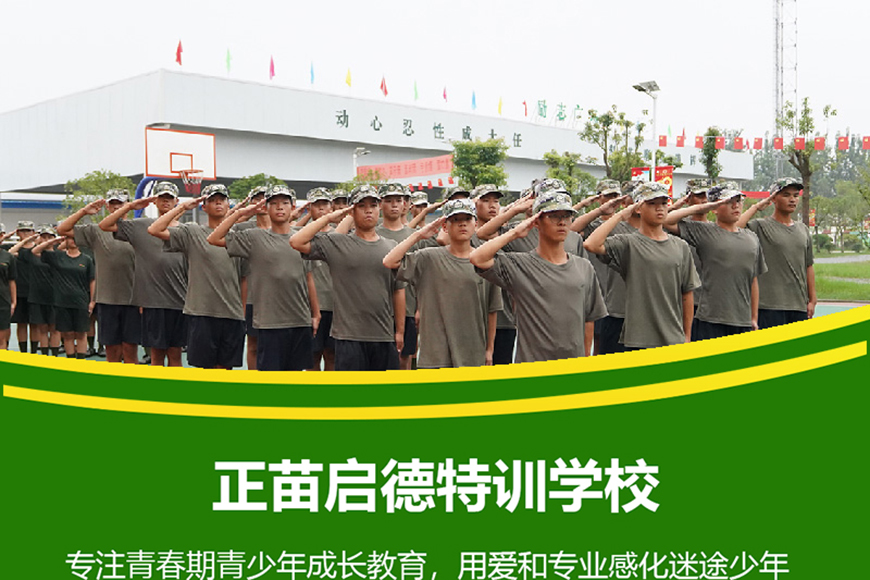 正苗启德叛逆