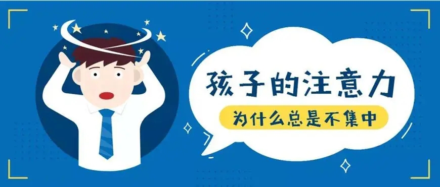 博沃思专注力、注意力