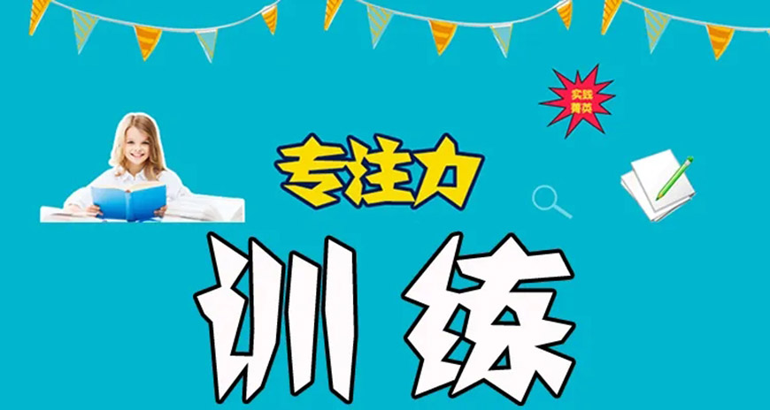 博沃思专注力、注意力