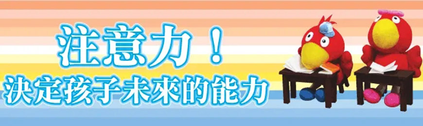 博沃思专注力、注意力