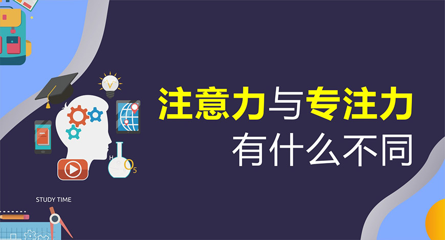博沃思专注力、注意力