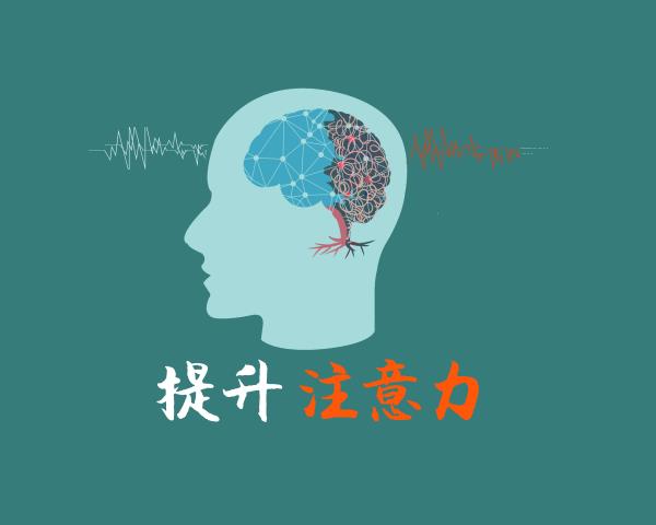 博沃思专注力、注意力