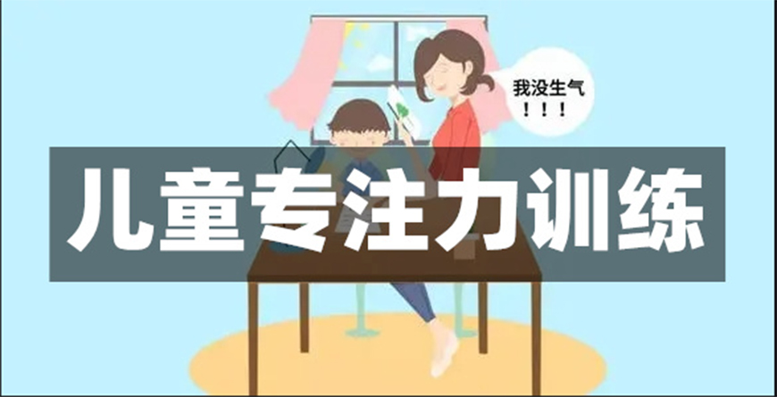 博沃思专注力、注意力