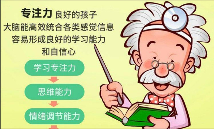 博沃思专注力、注意力