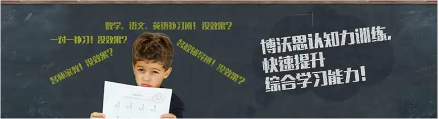 博沃思专注力、注意力