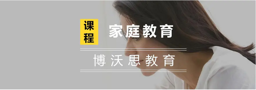 博沃思专注力、注意力