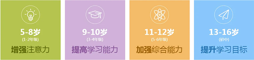 博沃思专注力、注意力