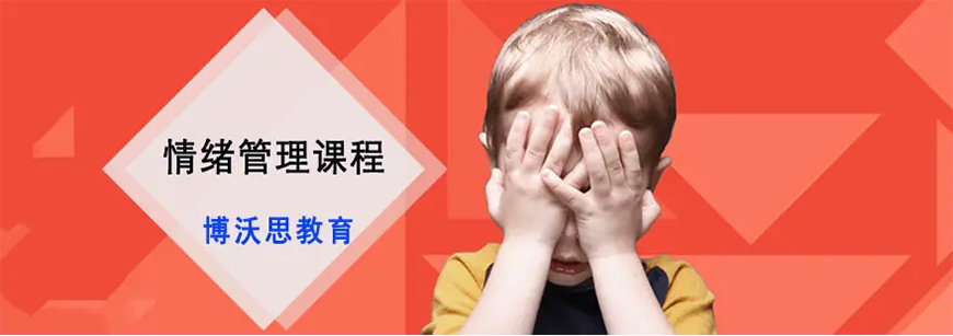 博沃思专注力、注意力