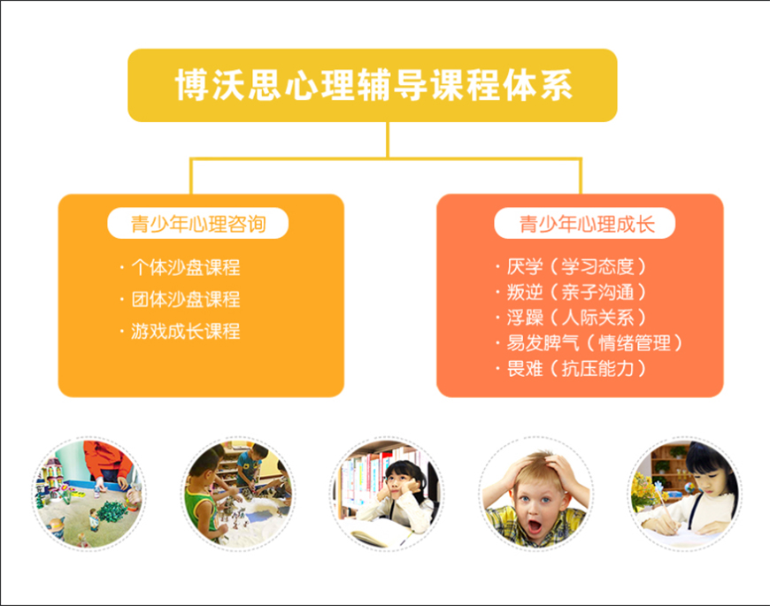 博沃思专注力、注意力