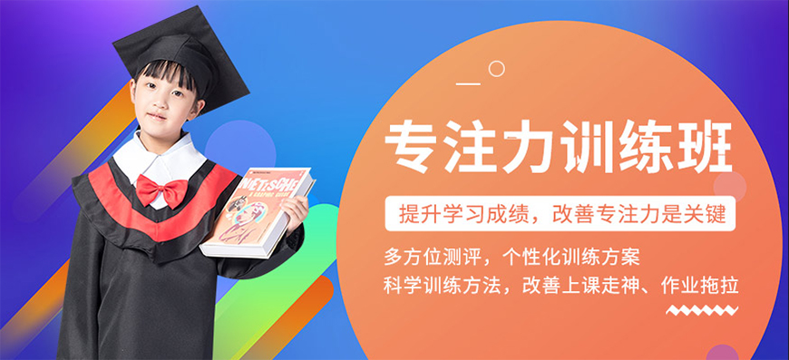 博沃思专注力、注意力