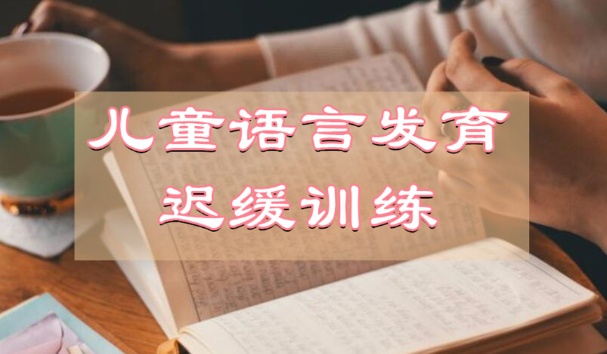 东方启音自闭症