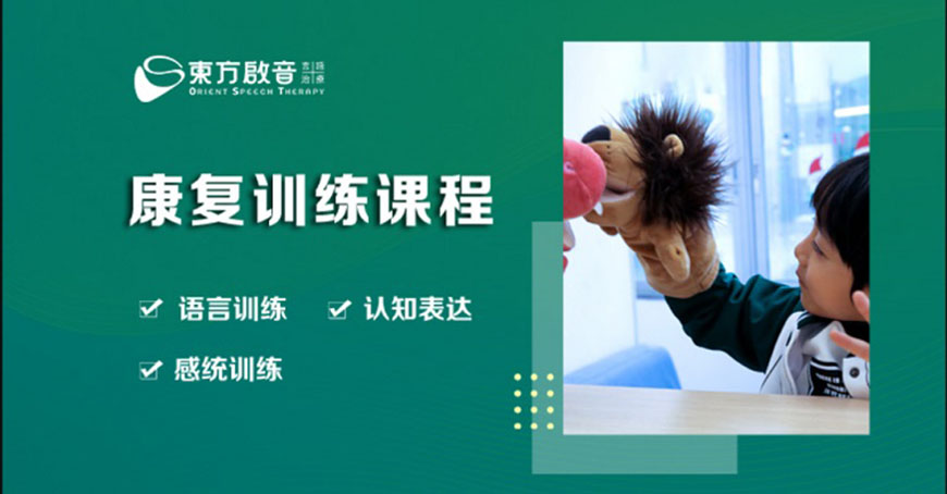 东方启音自闭症