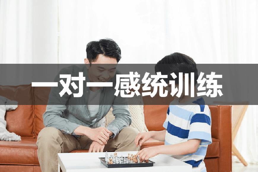 康复自闭症、孤独症