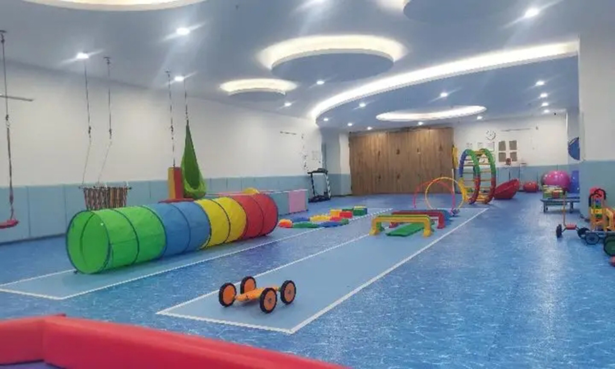 康复自闭症、孤独症