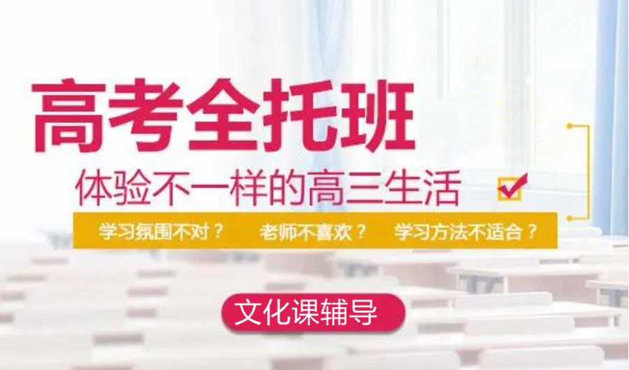 高中輔導(dǎo)