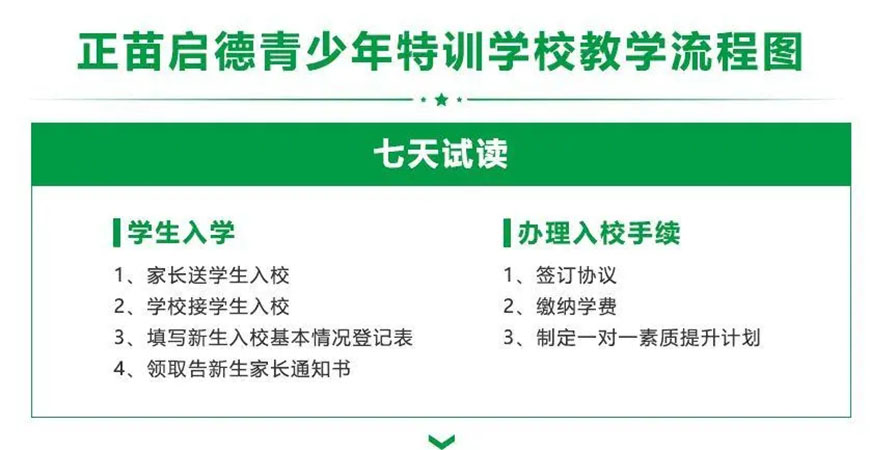 叛逆