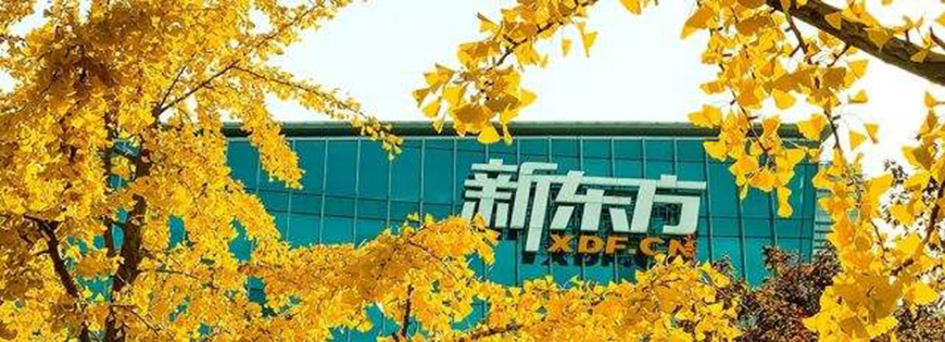 新东方留学